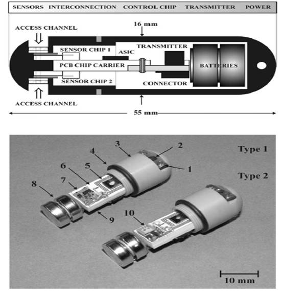 Micro Electronic Pill